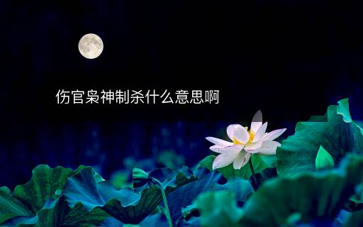 傷官梟神制殺什么意思啊