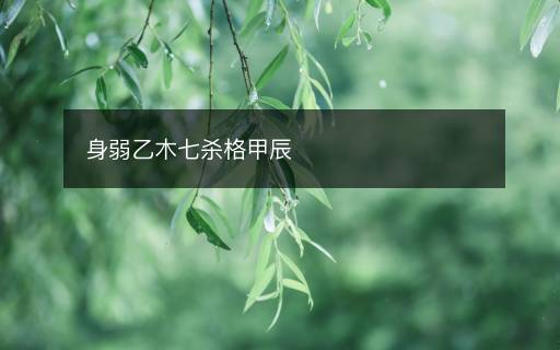 身弱乙木七殺格甲辰