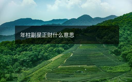 年柱副星正財(cái)什么意思