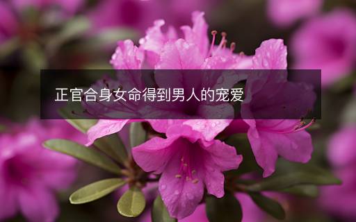 正官合身女命得到男人的寵愛