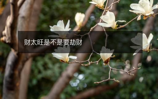 財(cái)太旺是不是要劫財(cái)