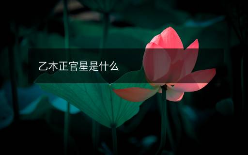 乙木正官星是什么
