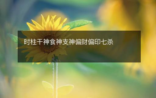 時(shí)柱干神食神支神偏財(cái)偏印七殺
