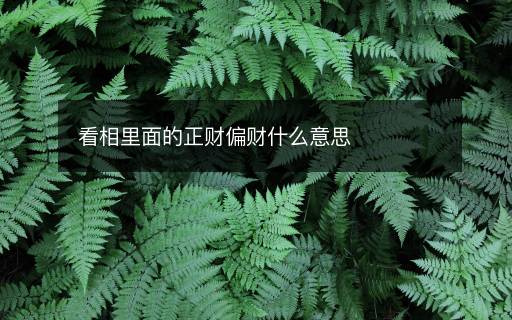 看相里面的正財偏財什么意思