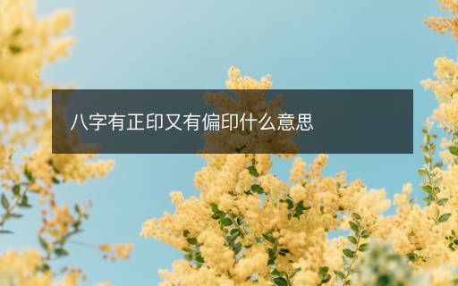 八字有正印又有偏印什么意思