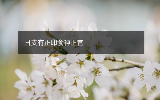 日支有正印食神正官