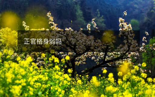正官格身弱嗎