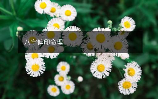 八字偏印命理