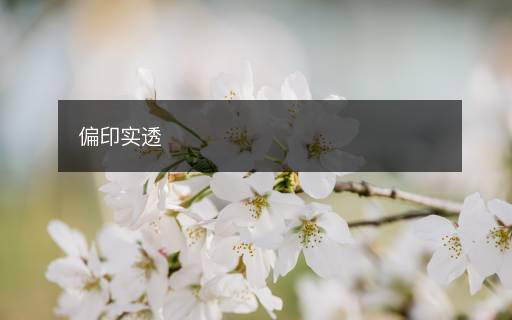 偏印實透