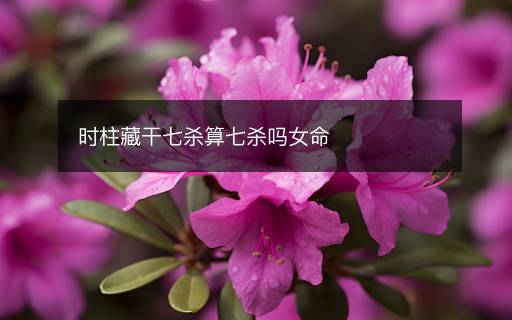 時(shí)柱藏干七殺算七殺嗎女命