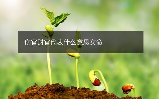 傷官財官代表什么意思女命
