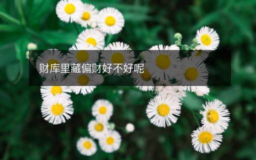 財(cái)庫(kù)里藏偏財(cái)好不好呢