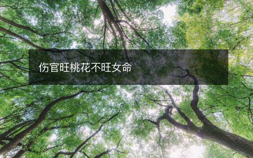 傷官旺桃花不旺女命