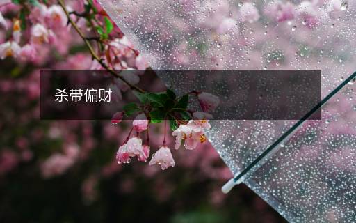 殺帶偏財(cái)