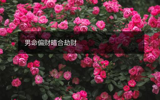 男命偏財(cái)暗合劫財(cái)