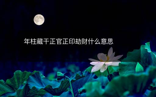 年柱藏干正官正印劫財(cái)什么意思