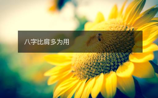 八字比肩多為用