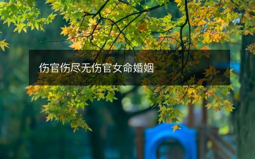 傷官傷盡無傷官女命婚姻