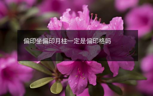 偏印坐偏印月柱一定是偏印格嗎