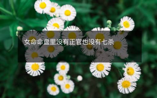 女命命盤里沒有正官也沒有七殺
