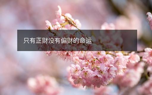 只有正財(cái)沒(méi)有偏財(cái)?shù)拿\(yùn)