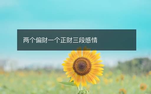兩個(gè)偏財(cái)一個(gè)正財(cái)三段感情