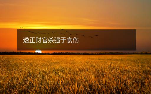 透正財(cái)官殺強(qiáng)于食傷