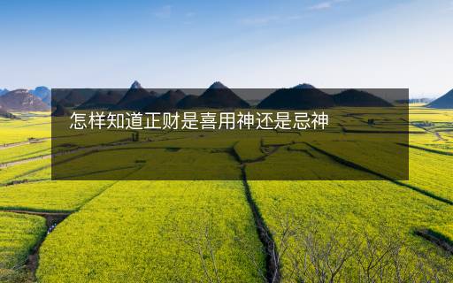 怎樣知道正財(cái)是喜用神還是忌神