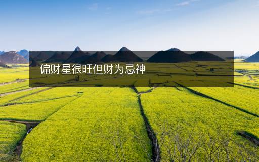 偏財星很旺但財為忌神