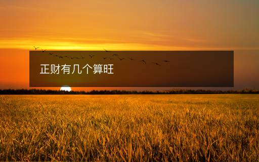 正財(cái)有幾個(gè)算旺
