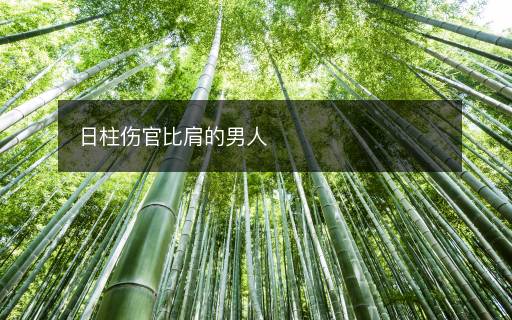 日柱傷官比肩的男人
