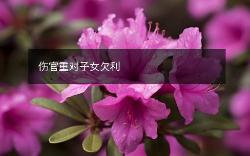 傷官重對子女欠利