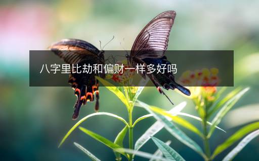 八字里比劫和偏財(cái)一樣多好嗎