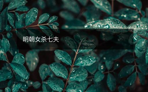 明朝女殺七夫