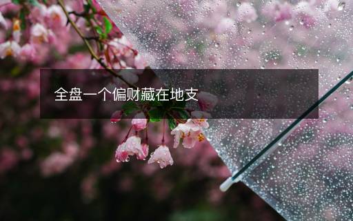 全盤一個偏財藏在地支