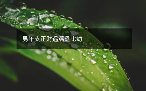 男年支正財遇滿盤比劫