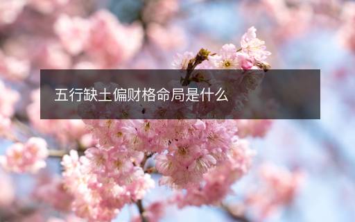 五行缺土偏財格命局是什么