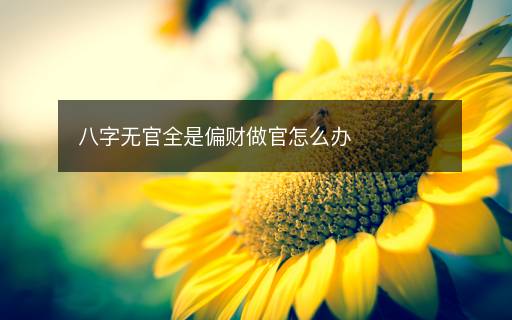 八字無官全是偏財(cái)做官怎么辦