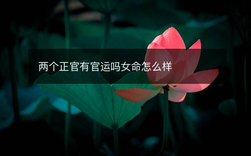 兩個(gè)正官有官運(yùn)嗎女命怎么樣