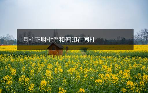 月柱正財(cái)七殺和偏印在同柱