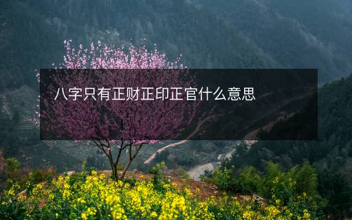 八字只有正財正印正官什么意思