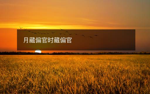 月藏偏官時藏偏官