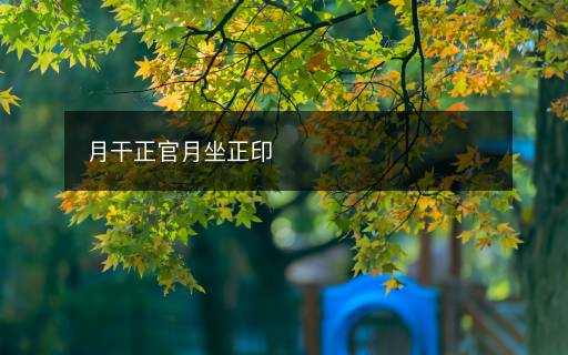 月干正官月坐正印