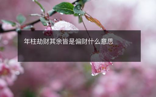 年柱劫財其余皆是偏財什么意思
