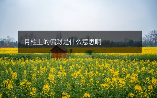 月柱上的偏財是什么意思啊