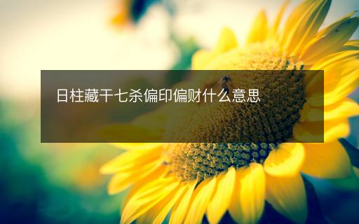 日柱藏干七殺偏印偏財什么意思