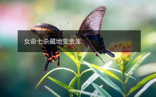 女命七殺藏地支金庫