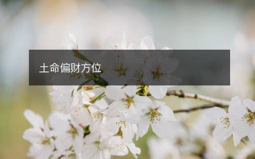 土命偏財方位