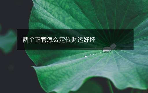 兩個正官怎么定位財運(yùn)好壞