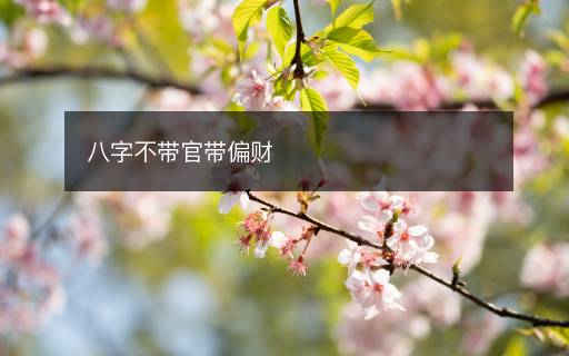 八字不帶官帶偏財(cái)